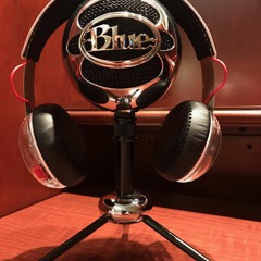 Episode 6: Steve Gates Interview