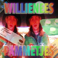 WILLIENEES - Sǝɾʇǝɯɯɐd