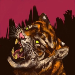 Don't Poke the Tiger (Prod. bugseed.)