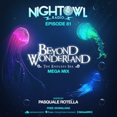 Night Owl Radio 081 ft. Beyond Wonderland 2017 Mega-Mix