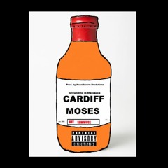 Serious Sauce (prod. by Nosnibborm 2.0)