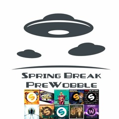 CROWD CTRL - Spring Break Pre-Wobble