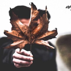 Rosh Wala INSTRUMENTAL by The Chinar Kashmir