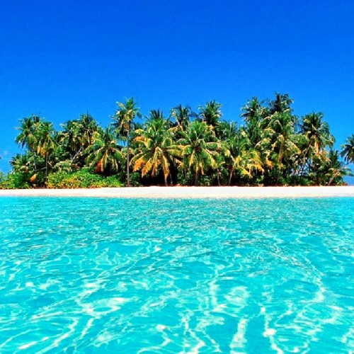 Spring Break 2k17 (Live Mix)