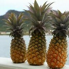 Pineapples Justin Case X L.I.T.M X AC (Prod.Justin Case)