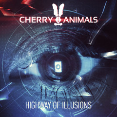 Highway Of Illusions