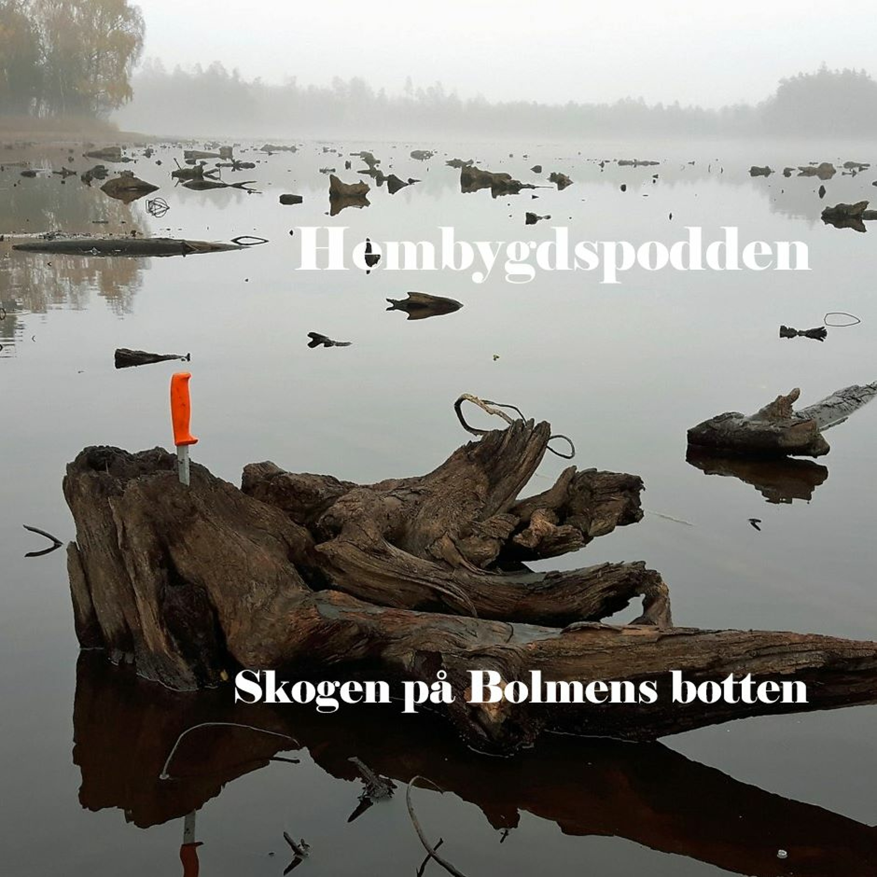Hembygdspodden