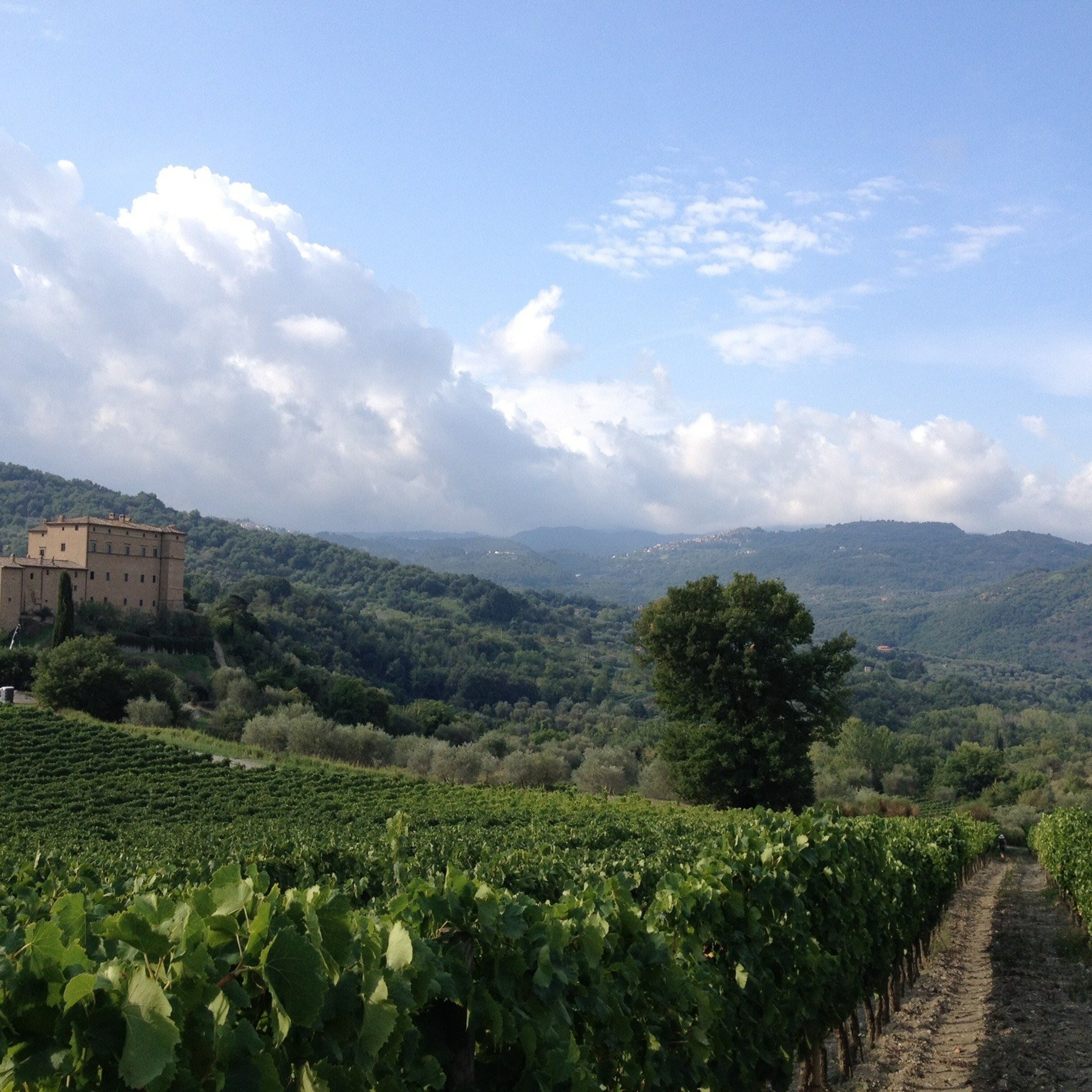Field Report: Castello di Potentino