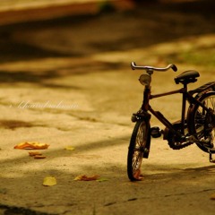 old timer