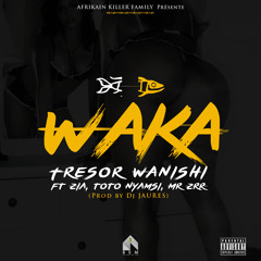 Tresor Wanishi Ft .ZIA ,TOTO NYAMSI,MR ZRR - WAKA (prod by JAURES DJ)