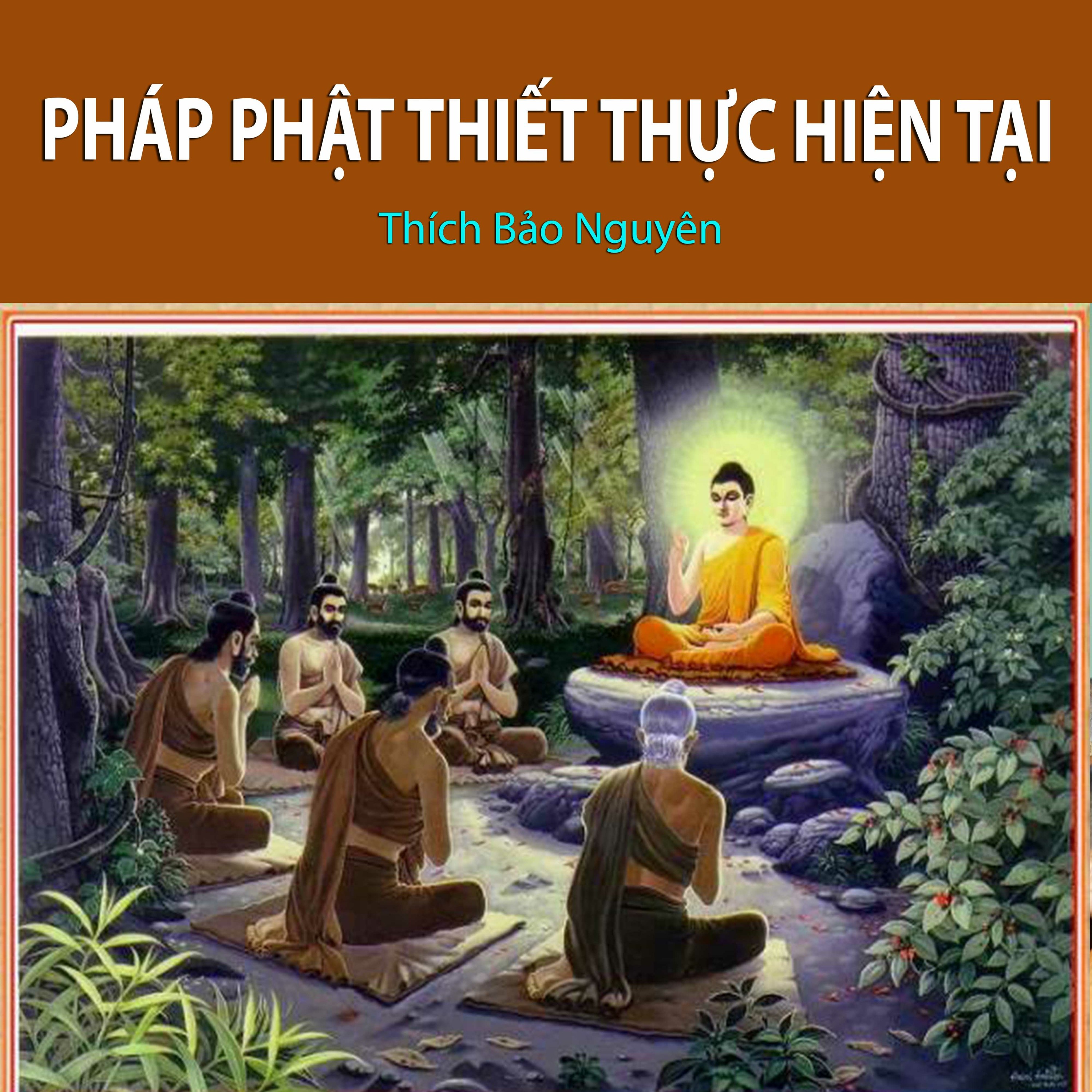 Pháp Phật Thiết Thực Hiện Tại episode artwork