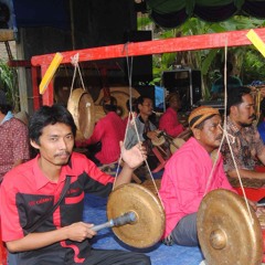Seri 1 Sombro Instrumen