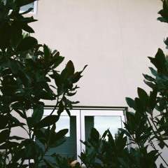 Sadboi - Learning to Relax