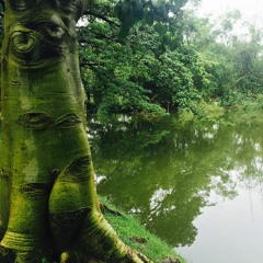 TUUL (Side Project)- TripOut the Bubble