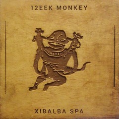 12EEK MONKEY - HOKA HEY