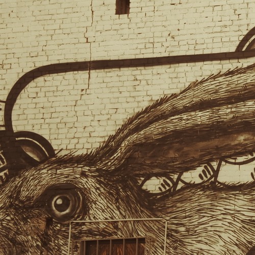 WonderWhy_Remix_by_AstFx