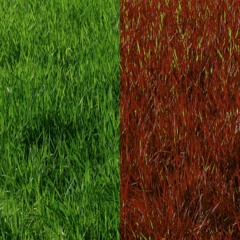 +Dégradualité- asHeR & Jamsh (Unreleased .....)