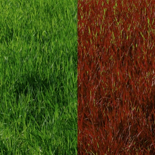 +Dégradualité- asHeR & Jamsh (Unreleased .....)