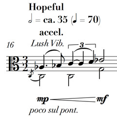 Mirage/Deluge: Two Environmental Sketches for Viola Alone (2016)