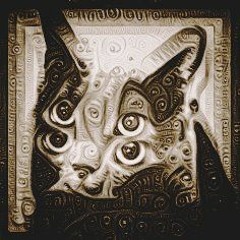 4ACO + MURMUR CAT