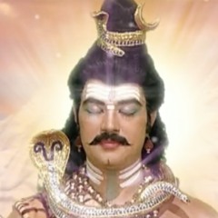 FB 14 - Shivaleelamrita