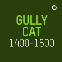 Rinse FM Podcast - Slimzos Recordings Takeover - Gully Cat - 11th March 2017