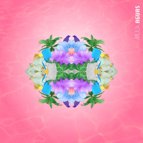 Quiero que tú quieras