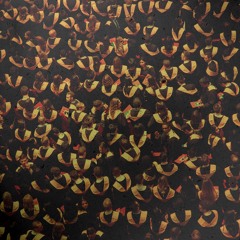 المحاضرة الرابعة: قصةٌ في كتبنا