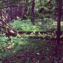 Nemo & Jaymon - Durch verwilderte Gärten