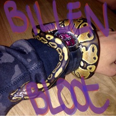 Billen_bloot - Latina