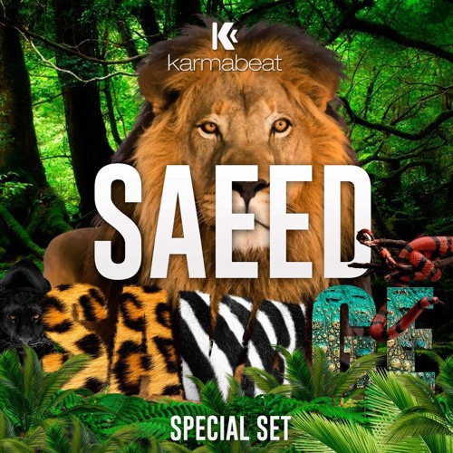 Karmabeat