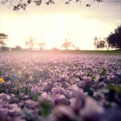 نشيدة ( يا الله ) يا أعذب الألفاظ ( كاملة ) إنشاد أمين حاميم إلقاء نبيل العوضي