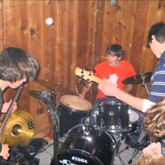 The Skin Cells- Animal Friends