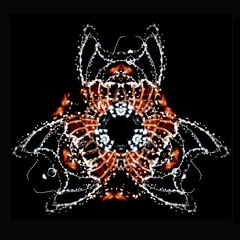 Bogus - Ex Voto (Ital Tek Remix) Remixed on NinjaJamm 11-03-17 at 22-02-57
