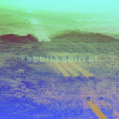 Palatial alters to flightless creatures and methodical habitat destruction