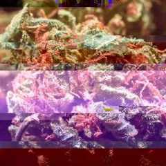 Smokeherbsandchill [FREE DOWNLOAD]