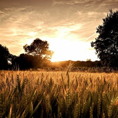 Strangers Once Again