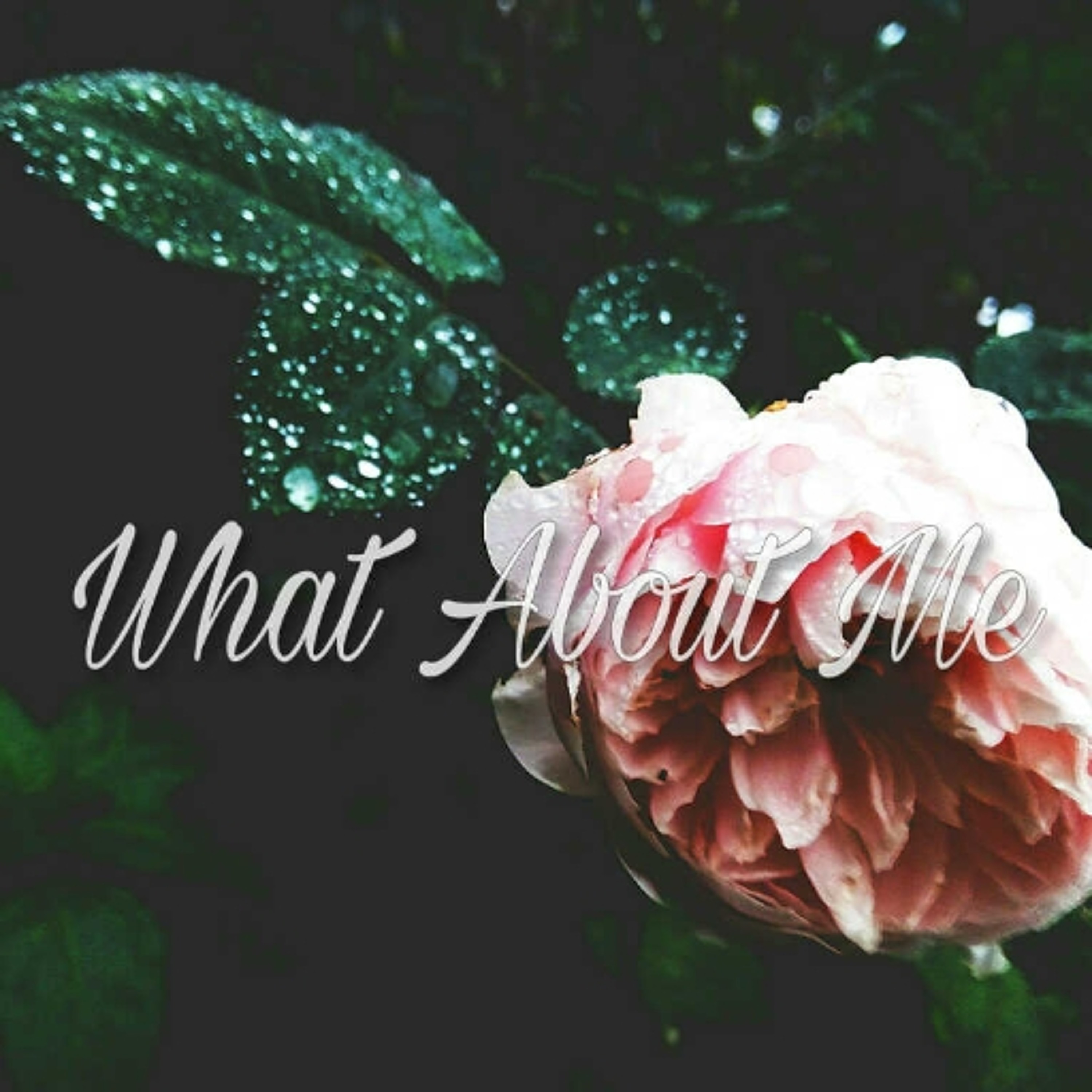 What About Me episode artwork