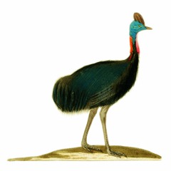 Psydways DnB 2017.3.11