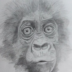 The Glorious Land (PJ Harvey cover)