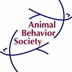 XandOJ ft P90 &- GamBino