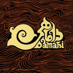 Gooshvare ( Ear Rings)- Damahi Band