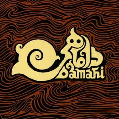 Gooshvare ( Ear Rings)- Damahi Band