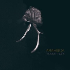 RYX - Sweat (Black Lotus Experiment Remix)