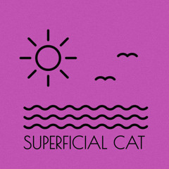 Superficial Cat