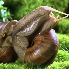 Slipstock 2017 Music Entries