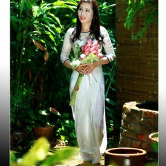 Đêm nay ai đưa Em về