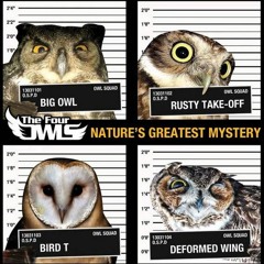 The Four Owls - Not Like Before (boogie Pep Remix)