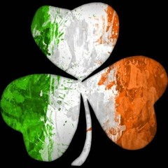 SheeBan - Tommy Peoples' Reel (Irish Reel)