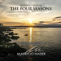 The Four Seasons - Winter 1st Movement - Allegro Non Molto